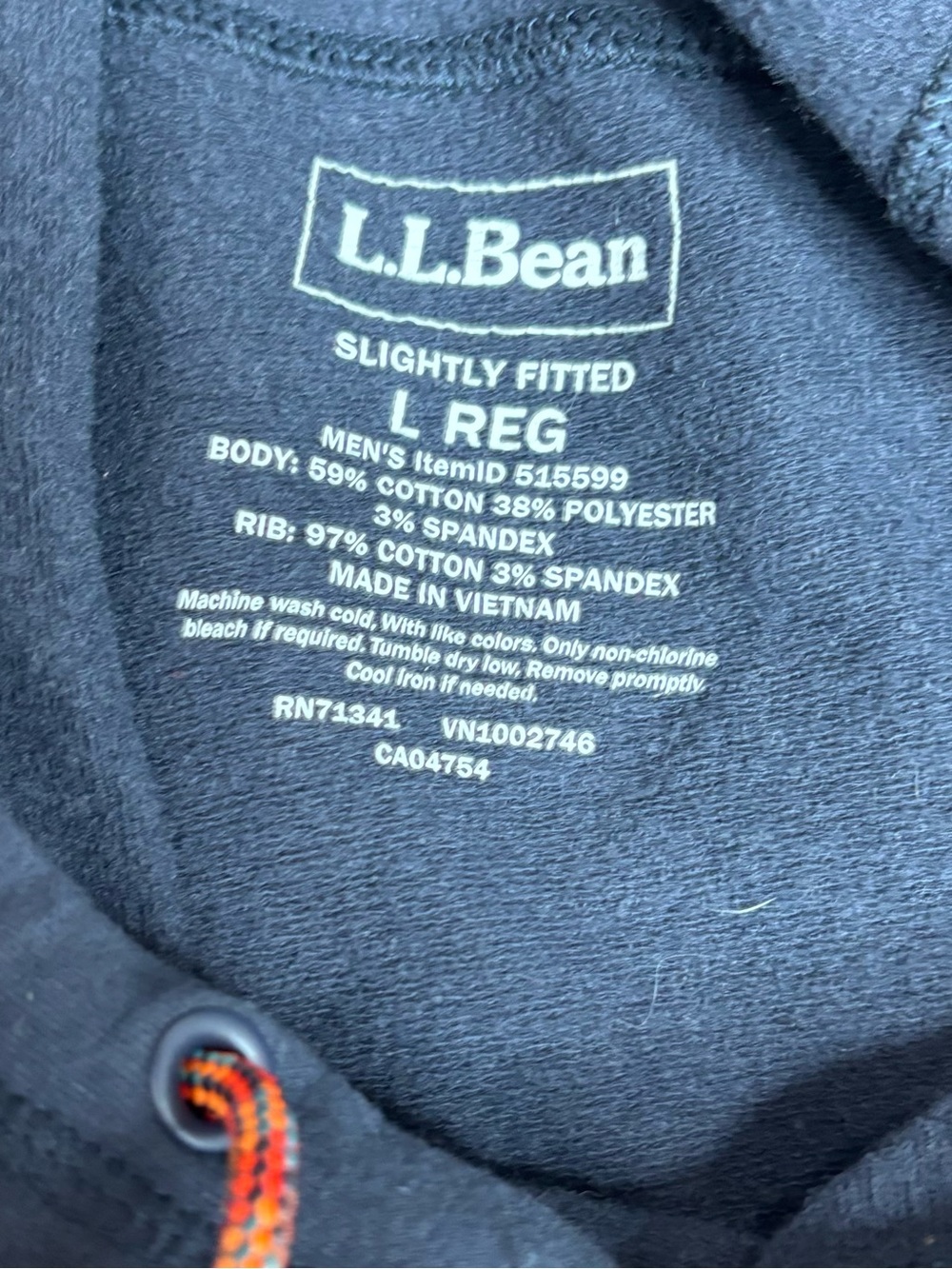 L.L. Bean Navy Hoodie large Orange Blue Green Mountain Stripe logo sweatshirt - Picture 5 of 7